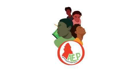 Afrikan Education Project Logo