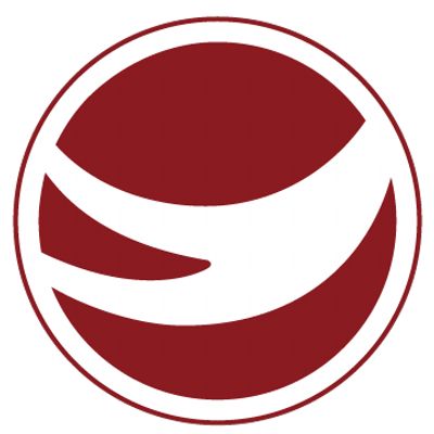 GlobeMed Logo