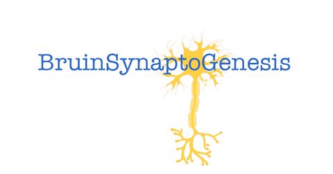 BruinSynaptoGenesis (BSG) Logo