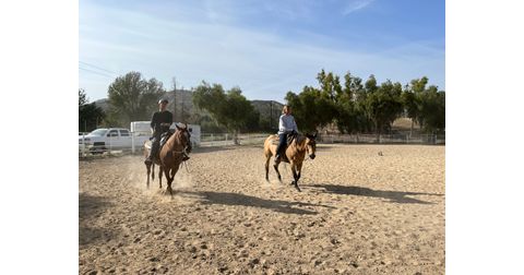 Western Equestrian Team at UCLA  Logo