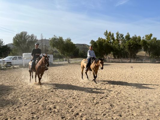 Western Equestrian Team at UCLA Logo