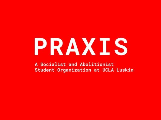 Praxis Logo