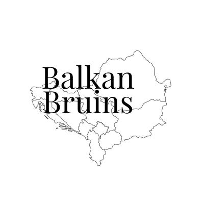 Balkan Bruins Logo